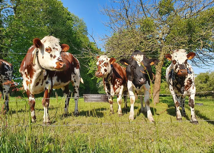 Petite Semesterbostad *